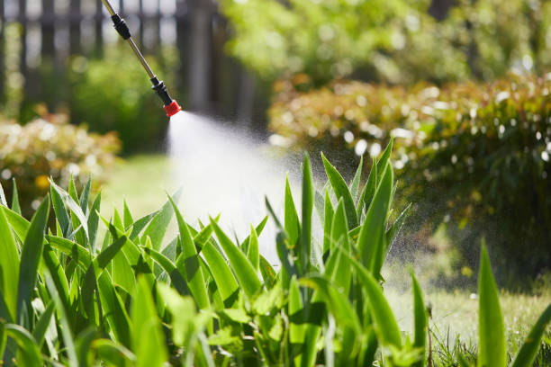 24/7 Emergency Mosquito Control experts in Collinwood, TN